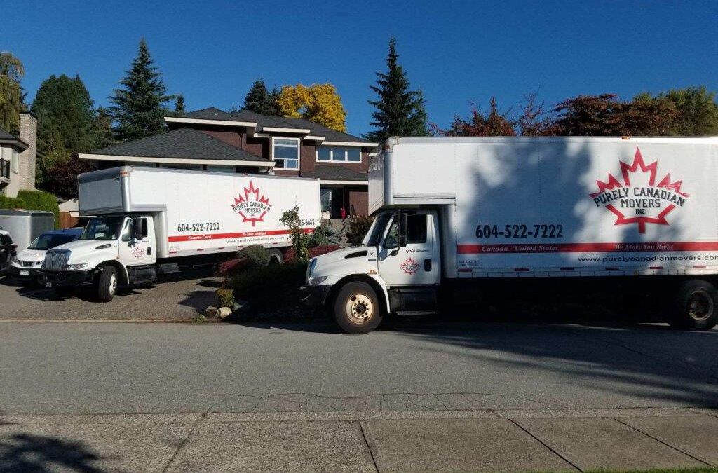 movers in surrey-Purely Canadian Movers Inc